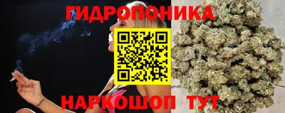 ГАЛЛЮЦИНОГЕННЫЕ ГРИБЫ Обнинск